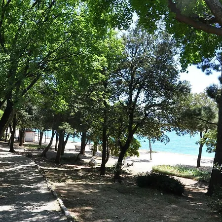Apartman Ana *